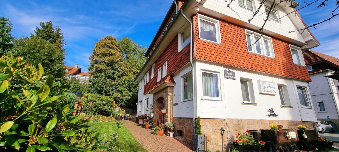 Hotel Elisabeth-Ilse Braunlage Esterno foto