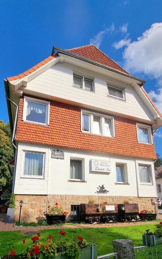 Hotel Elisabeth-Ilse Braunlage Esterno foto