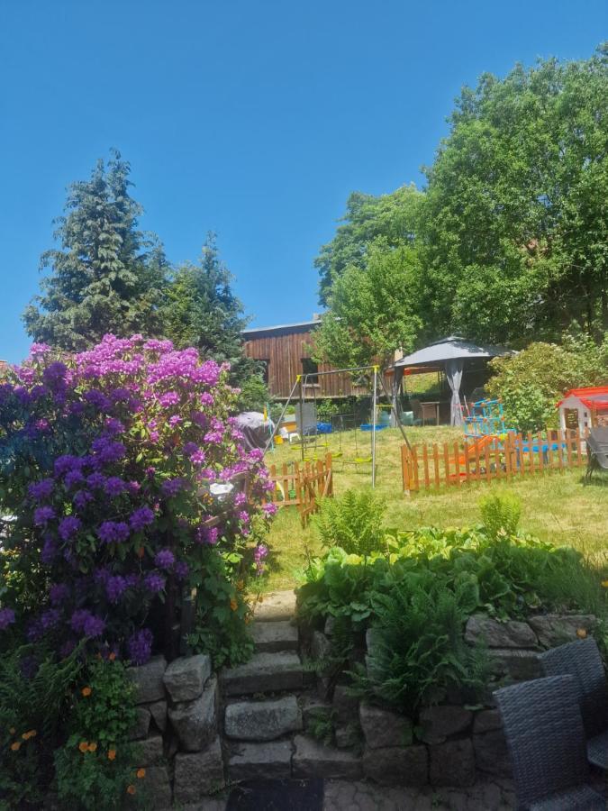 Hotel Elisabeth-Ilse Braunlage Esterno foto